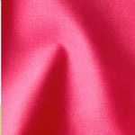 Shimmer Coral