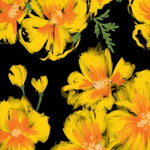 Soleil Fleur